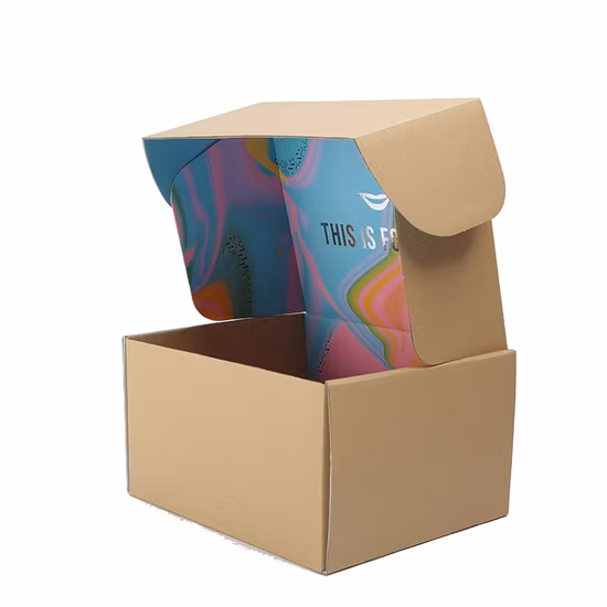 Boîte de papier cadeau d'emballage en papier kraft ondulé imprimé coloré personnalisé pour la nourriture/bière/nouilles/biscuit/fruits de mer séchés de fruits/boissons/thé